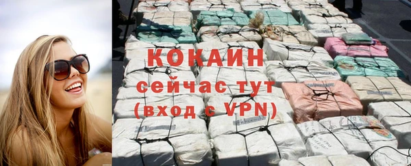 дживик Россошь